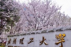 廣東MBA考研調(diào)劑武漢理工大學(xué)有什么條件？
