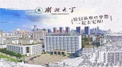 廣東MBA考研調(diào)劑湖北大學(xué)有什么條件？